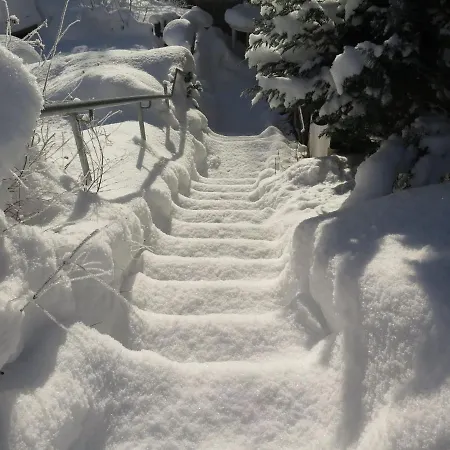 With Terrace In The Black Forest
