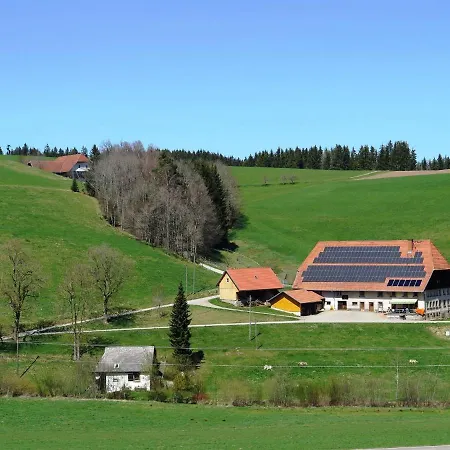 With Terrace In The Black Forest