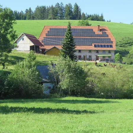 With Terrace In The Black Forest *