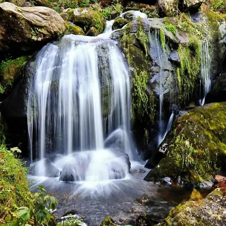 Historic Retreat, St Georgen *