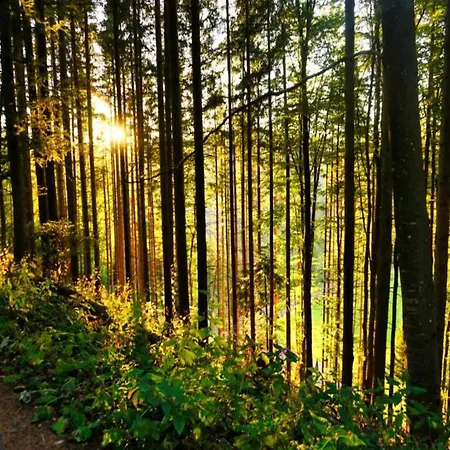Holiday home With Terrace In The Black Forest *